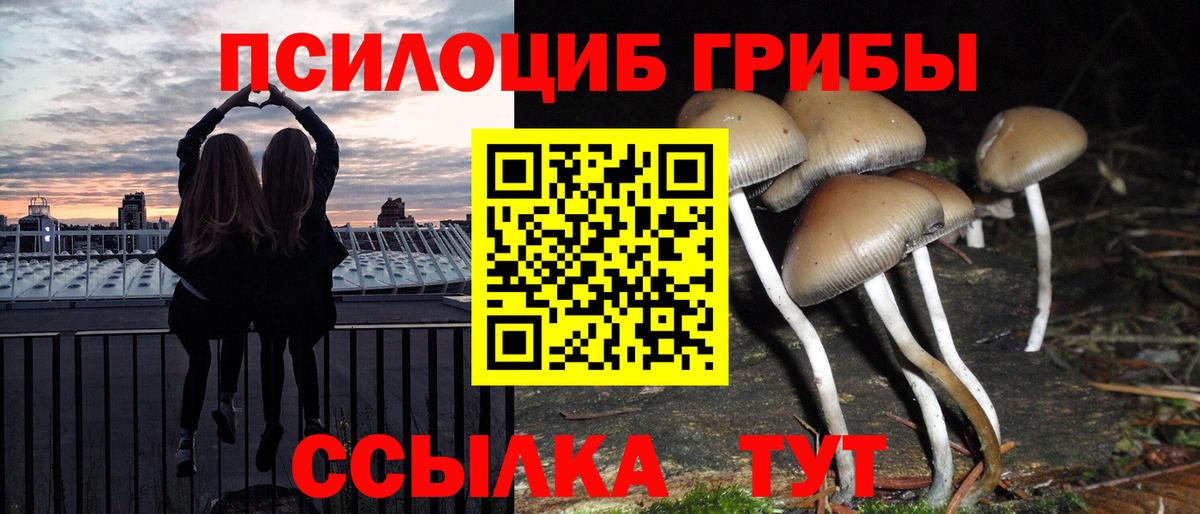Галлюциногенные грибы мухоморы Рославль